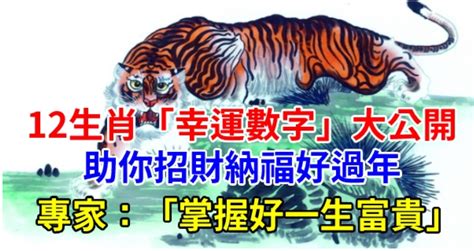 屬雞幸運數字|12生肖「幸運數字」曝光！專家：掌握好一生富貴